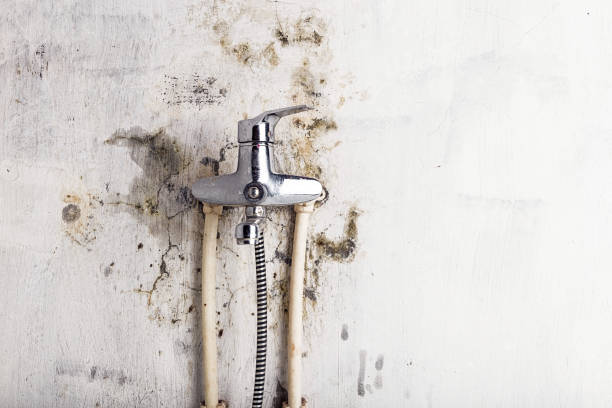 Best Industrial Mold Remediation in Lutherville, MD