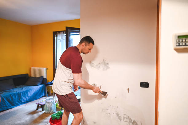 Best Bathroom Mold Remediation in Lutherville, MD